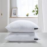 Beautyrest Cotton Softy-Aroundfeather & Down Euro Pillow (2PK) - Firm Down/Feather in White, Size 26.0 H x 26.0 W x 3.0 D in | Wayfair BR200910K