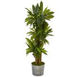 Primrue 58” Corn Stalk Dracaena Artificial Plant In Embossed Tin Planter (Real Touch) in Black, Size 58.0 H x 24.0 W x 24.0 D in | Wayfair