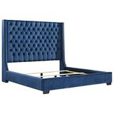 Signature Design by Ashley Coralayne Tufted Low Profile Standard Bed Upholstered/Velvet, Metal in Blue | Wayfair B650B23