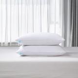 Martha Stewart Feathers Medium Support Pillow Cotton Blend in White, Size 20.0 H x 36.0 W x 2.0 D in | Wayfair MS200525K