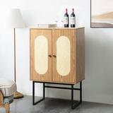 Mistana™ Amoroso Iron 2 - Door Accent Cabinet Wood/Metal in Brown, Size 40.5 H x 26.7 W x 15.7 D in | Wayfair 612C9F9A7AC3488DA8BDAEC4A9C62042