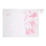 Disney's Minnie Mouse Milestone Baby Blanket, Pink