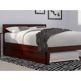 Atlantic Furniture Trundle Unit Wood/Solid Wood in Brown, Size 10.25 H x 40.38 W in | Wayfair AG8005114