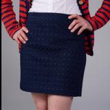 J. Crew Skirts | J. Crew Navy Blue Eyelet Lace Mini Skirt 4 | Color: Blue | Size: 4