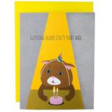 Moose & Pig Getting Older Cat Birthday Card, .63 OZ