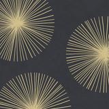 Everly Quinn Bursts I Canvas in Black, Size 12.0 H x 12.0 W x 1.25 D in | Wayfair 251FBF4571BE4B109E3E31F810923230