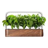 edn SmallGarden with Basil SeedPods, Indoor Grow Smart Garden Starter Kit for Fresh Home Grown Herbs, Plants and Flowers