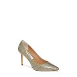 Nina 85 Pointy Toe Pump, Size 8.5 in Platino Fabric at Nordstrom
