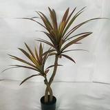 Primrue 43In(S) Dracena Plant Faux Plants & Trees Plastic in Black, Size 43.0 H x 18.0 W x 18.0 D in | Wayfair 0E5B8D6A794F4EE487C8CBD16030514A