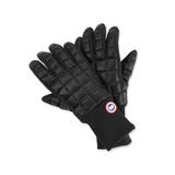 Northern Glove Liner, Black