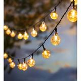 Plow & Hearth 1' LED No Power Source Required 50 - Bulb Novelty String Light in Black, Size 1.0 W in | Wayfair 56500
