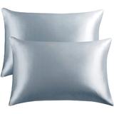 vaststudy Pillowcase Silk/Satin in Blue, Size Standard | Wayfair 02YX1224PMFGGP59PW4