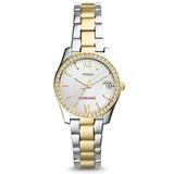 "Women's Fossil UChicago Maroons Scarlette Mini Two-Tone Stainless Steel Watch"
