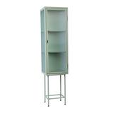 Latitude Run® Airiana Steel 1 - Door Accent Cabinet Wood/Metal in Green, Size 61.2 H x 14.8 W x 12.6 D in | Wayfair