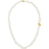 La Calliope Pearl 24k Gold-plated Choker - Metallic - Alighieri Necklaces
