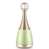Gold Magnetic Facial Massager by Prospera in Lime