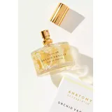 Anatomy of a Fragrance Eau De Parfum By Illume in Gold