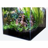 14.26 Gallon Low Iron Ultra Clear Aquarium Tank with Built in Side Filter, 23.62" L X 11.81" W X 11.81" H, 67 LBS