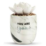 DEMDACO Home Fragrance Diffusers and Oil - White 'You are You' Succulent Oil Diffuser