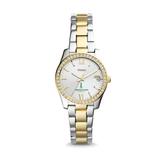 "Women's Fossil Silver/Gold Norfolk State Spartans Scarlette Mini Two-Tone Stainless Steel Watch"