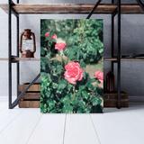 Red Barrel Studio® Pink Floribunda Roses - 1 Piece Rectangle Graphic Art Print On Wrapped Canvas & Fabric in Green/Pink | Wayfair