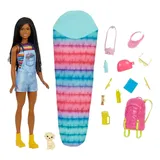 Barbie Camping Brooklyn Doll and Accessories Playset, Multicolor