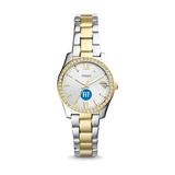 "Women's Fossil Silver SUNY Fashion Institute of Technology Tigers Scarlette Mini Two-Tone Stainless Steel Watch"