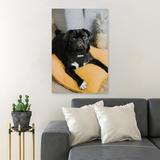 MentionedYou Black Pug On Orange Couch - 1 Piece Rectangle Graphic Art Print On Wrapped Canvas in Brown, Size 14.0 H x 11.0 W x 2.0 D in | Wayfair
