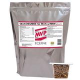 Glucosamine XL Plus w/MSM