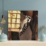 Millwood Pines White & Black Bird On Wooden Fence - 1 Piece Rectangle Graphic Art Print On Wrapped Canvas & Fabric in Brown | Wayfair