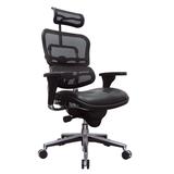 Eurotech by Raynor Ergohuman Mesh High-Back Chair with Leather Seat - LEM4ERG