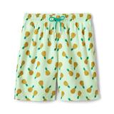 Lands' End Men's Board Shorts SUBTLE - Subtle Mint Green Pineapples Boardshorts - Men