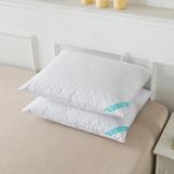 Antimicrobial Feather Pillow, Set 2 Bed Pillow by Waverly in White (Size KING)