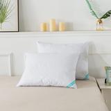 Antimicrobial White Goose Nano Feather Pillow, Set 2 Bed Pillow by Waverly in White (Size STAND QUEEN)