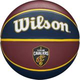 Wilson Cleveland Cavaliers Team Tribute Basketball