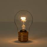 Rechargeable Cordless Magic Light Bulb