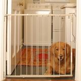 Cardinal Gates Taupe Duragate Pet Gate, 2" L X 41.5" W X 29.5" H, 12 LBS, Off-White