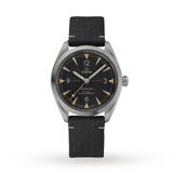 Seamaster Railmaster Mens Watch