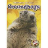 Groundhogs