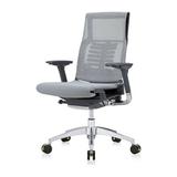 Eurotech Seating Powerfit Mesh Executive Chair Upholstered/Mesh/Metal in Gray/Black, Size 43.9 H x 19.0 W x 24.0 D in | Wayfair PFT2-BLK-FSGRY