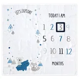 Gerber Explore Milestone Animals Cotton Muslin Blanket And Felt Frame In Blue