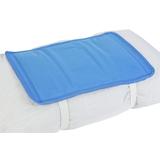 Lifemax Cool Gel Pillow Pad