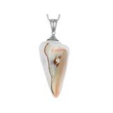 Turban Shell Pendant Rhodium Over Sterling Silver With 18 Inch Chain