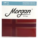 Morgan Am12 12-53 Acoustic Guitar Strings Phosphor Bronze Anti-rust