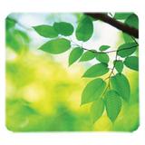 Recycled Mouse Pad, Nonskid Base, 9 x 8 x 1/16, Leaves