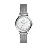 Laney Three-hand Stainless Steel Watch