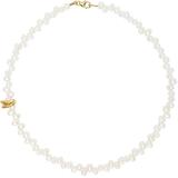 Gold Pearl 'la Calliope' Choker - Metallic - Alighieri Necklaces