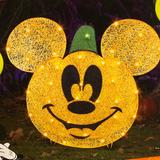 Disney Holiday | Disney Mickey Mouse Pumpkin Flat-Tastics Lighted Yard Decor | Color: Black/Orange | Size: Os