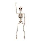 The Holiday Aisle® Posable Skeleton Figurine Plastic in White, Size 24.0 H x 24.0 W x 24.0 D in | Wayfair 39DED539D4744AF4877E9CDCAC326DA4