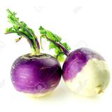 Turnip Garden Seeds - Purple Top White Globe - 5 Lb Bulk - Non-GMO Heirloom Vegetable Garden Microgreens Seeds 5 Lb Bag
